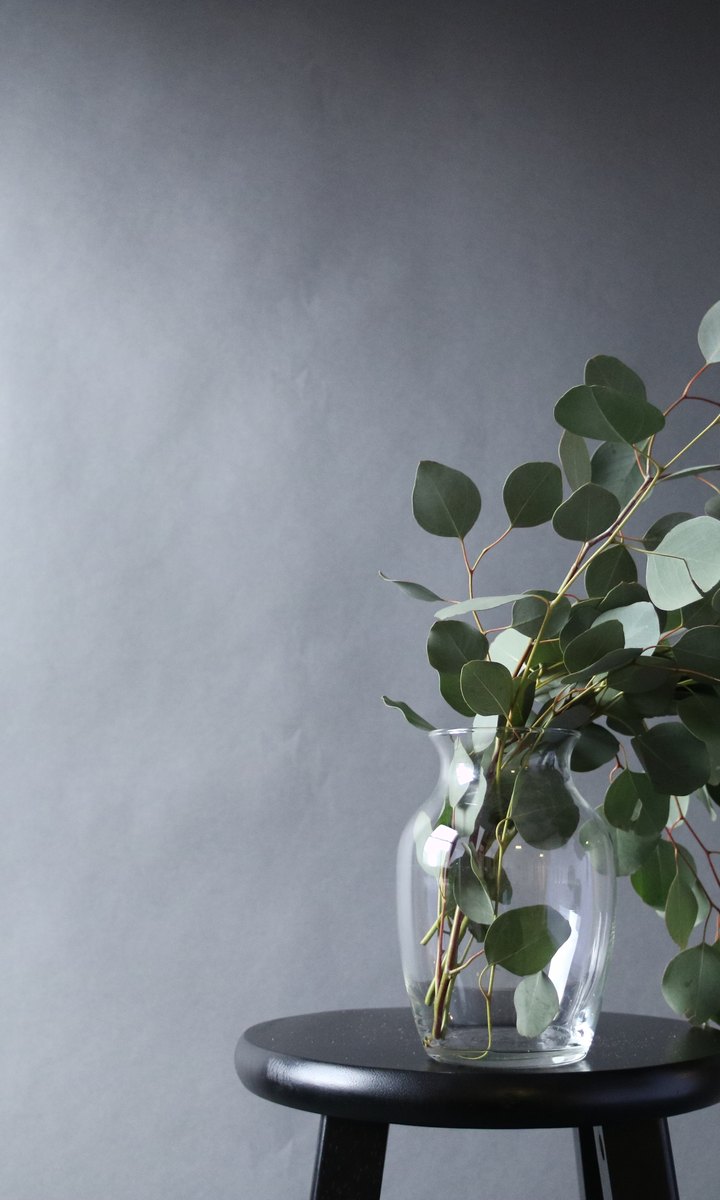 Minimal plant styling